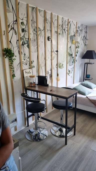 Hsh France Location Disney Land Paris - Suite Nicolas - Appartement De Charme 뷰씨 쎙 죠흐쥬 외부 사진
