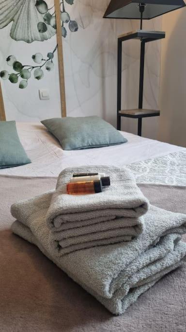 Hsh France Location Disney Land Paris - Suite Nicolas - Appartement De Charme 뷰씨 쎙 죠흐쥬 외부 사진